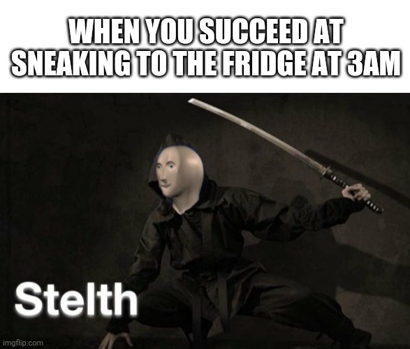 Quik and quiit | WHEN YOU SUCCEED AT SNEAKING TO THE FRIDGE AT 3AM | image tagged in blank white template,stelth | made w/ Imgflip meme maker