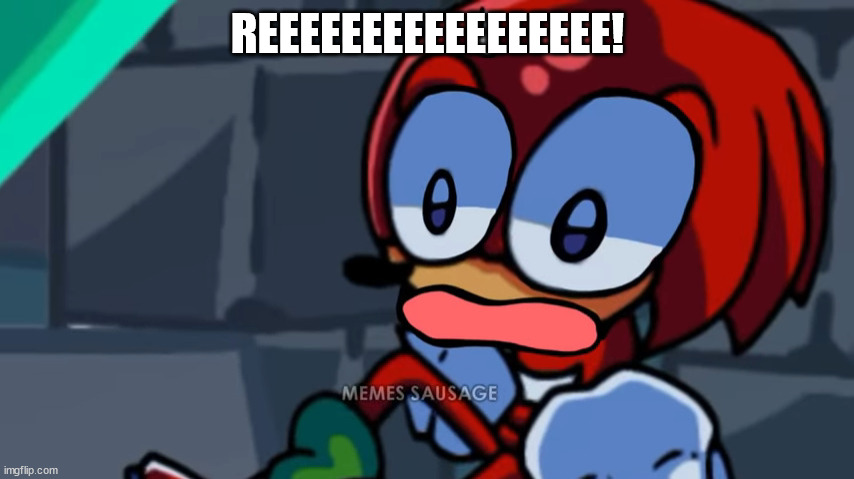 screaming | REEEEEEEEEEEEEEEEE! | image tagged in s c r e a m i n g n k n a c k l e s | made w/ Imgflip meme maker
