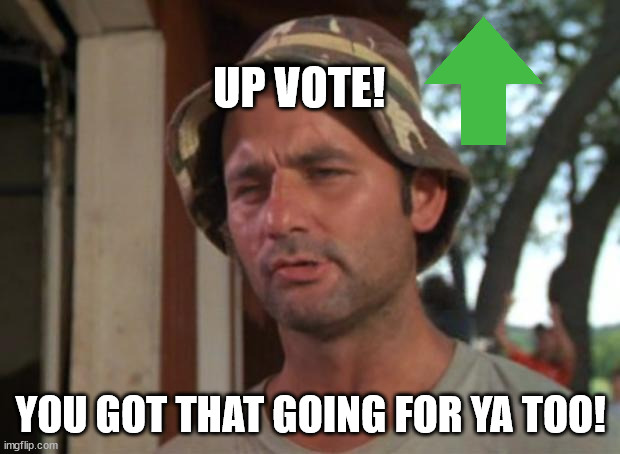 So I Got That Goin For Me Which Is Nice Meme | UP VOTE! YOU GOT THAT GOING FOR YA TOO! | image tagged in memes,so i got that goin for me which is nice | made w/ Imgflip meme maker