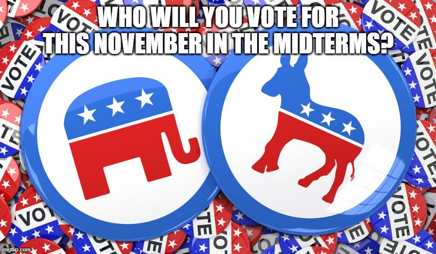Republicans and Democrats together | WHO WILL YOU VOTE FOR THIS NOVEMBER IN THE MIDTERMS? | image tagged in republicans and democrats together,memes | made w/ Imgflip meme maker