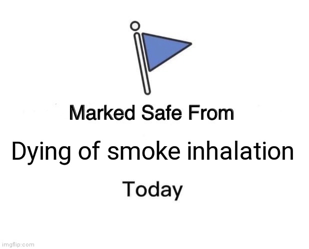 For those wondering I was at an open house and it was filled with smoke from someone smoking cigarettes but I didn't actually se | Dying of smoke inhalation | image tagged in memes,marked safe from | made w/ Imgflip meme maker