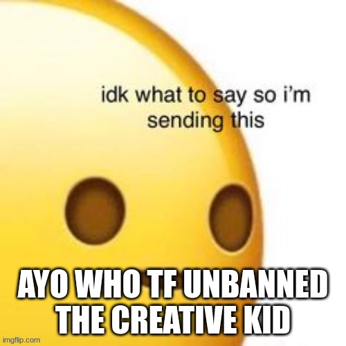 idk what to say | AYO WHO TF UNBANNED THE CREATIVE KID | image tagged in idk what to say | made w/ Imgflip meme maker