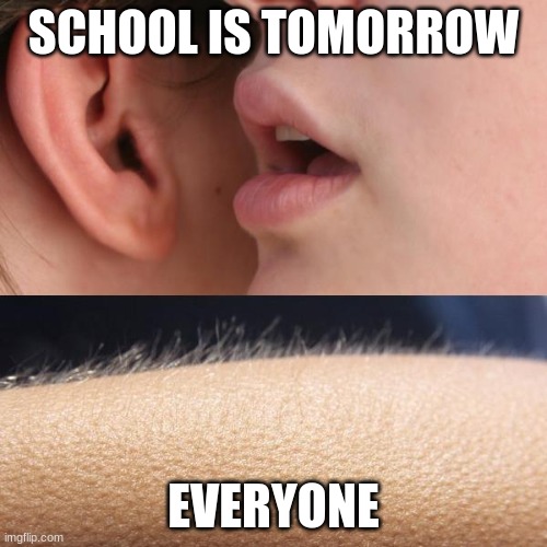 We have school sadly :( | SCHOOL IS TOMORROW; EVERYONE | image tagged in whisper and goosebumps,school,sad | made w/ Imgflip meme maker