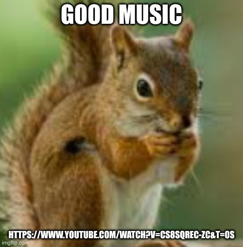 i swear it's not a rickroll | GOOD MUSIC; HTTPS://WWW.YOUTUBE.COM/WATCH?V=CS8SQREC-ZC&T=0S | image tagged in kdn jkefje | made w/ Imgflip meme maker