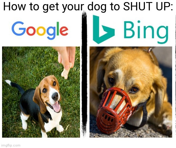 Google v. Bing | How to get your dog to SHUT UP: | image tagged in google v bing,dogs,relatable memes | made w/ Imgflip meme maker