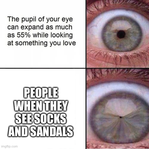 Eye Pupil (Shrinking) Template | PEOPLE WHEN THEY SEE SOCKS AND SANDALS | image tagged in eye pupil shrinking template | made w/ Imgflip meme maker