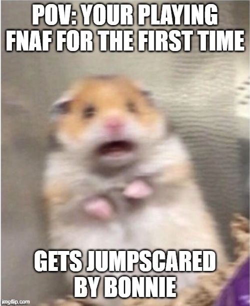 This is so me |  POV: YOUR PLAYING FNAF FOR THE FIRST TIME; GETS JUMPSCARED BY BONNIE | image tagged in scared hamster,fnaf,bonnie,fnaf_bonnie,scared,funny | made w/ Imgflip meme maker