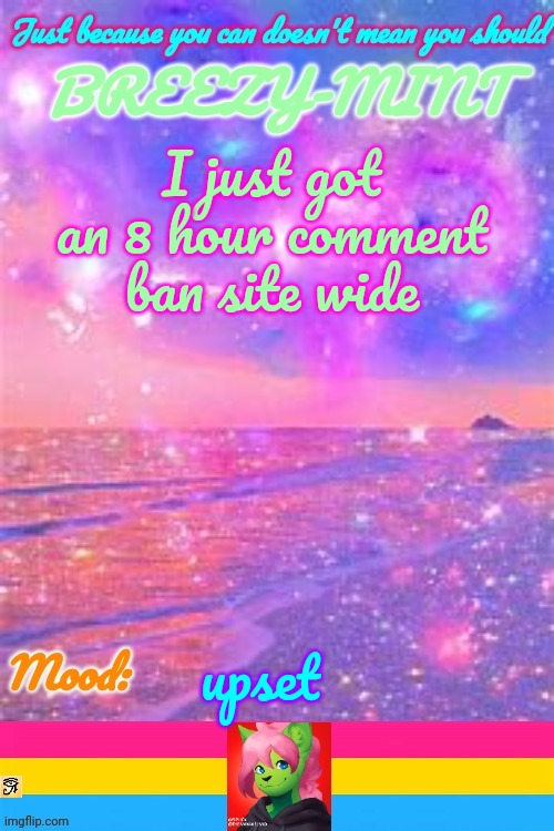 Breezy | I just got an 8 hour comment ban site wide; upset | image tagged in breezy | made w/ Imgflip meme maker