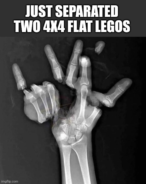  JUST SEPARATED TWO 4X4 FLAT LEGOS | image tagged in funny memes | made w/ Imgflip meme maker