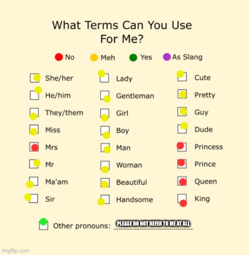 Pronouns Sheet | PLEASE DO NOT REFER TO ME AT ALL | image tagged in pronouns sheet | made w/ Imgflip meme maker