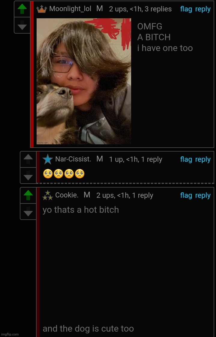 Cookie. caught in 4k | image tagged in cookie caught in 4k | made w/ Imgflip meme maker