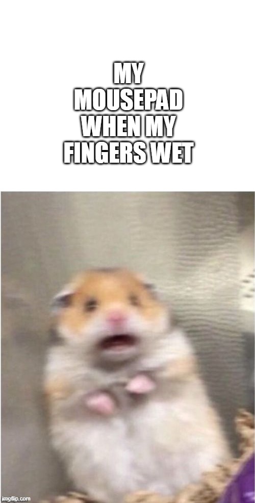 It is ANNOYING | MY MOUSEPAD WHEN MY FINGERS WET | image tagged in blank white template,scared hamster,laptop | made w/ Imgflip meme maker