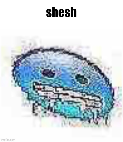 Ice cursed | shesh | image tagged in ice cursed | made w/ Imgflip meme maker