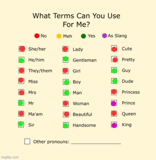 did this for no reason | image tagged in pronouns sheet | made w/ Imgflip meme maker