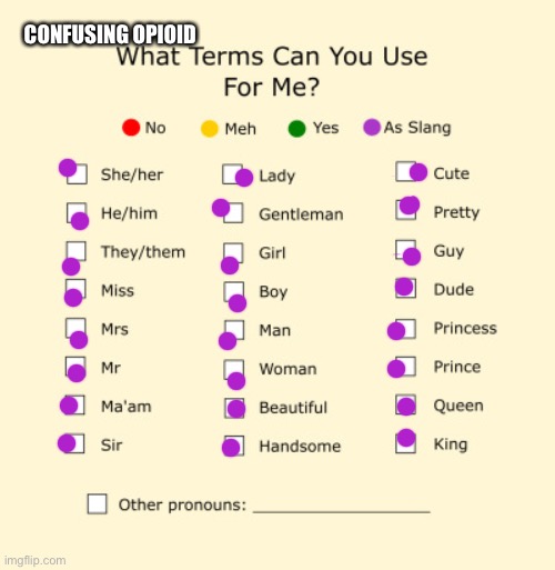 Pronouns Sheet | CONFUSING OPIOID | image tagged in pronouns sheet | made w/ Imgflip meme maker
