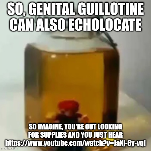 jarate mario | SO, GENITAL GUILLOTINE CAN ALSO ECHOLOCATE; SO IMAGINE, YOU'RE OUT LOOKING FOR SUPPLIES AND YOU JUST HEAR https://www.youtube.com/watch?v=JaXj-6y-vqI | image tagged in jarate mario | made w/ Imgflip meme maker