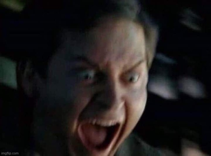 Screaming Peter Parker | image tagged in screaming peter parker | made w/ Imgflip meme maker