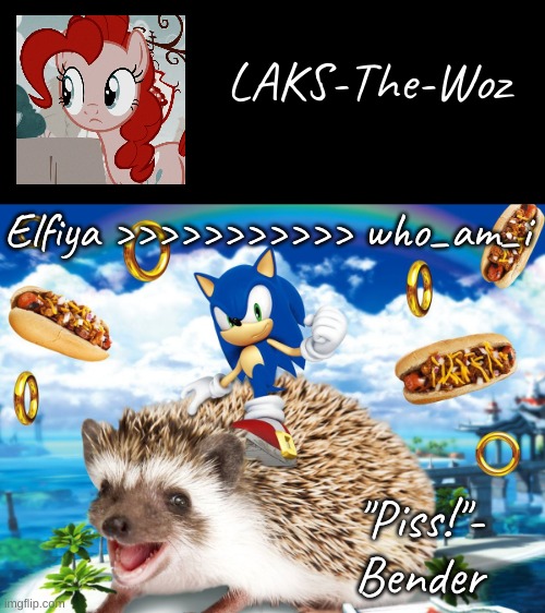 LAKS hedgehog temp | Elfiya >>>>>>>>>>> who_am_i | image tagged in laks hedgehog temp | made w/ Imgflip meme maker