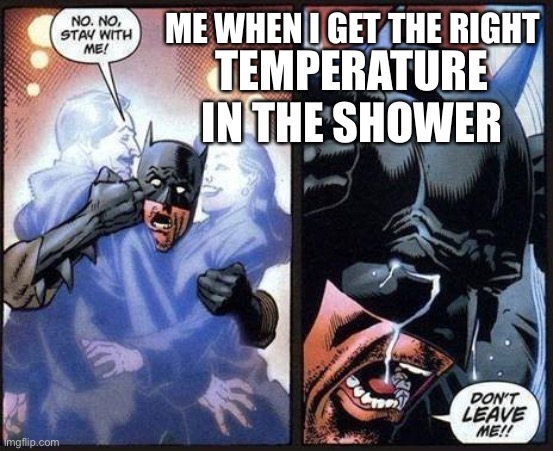 Yes | TEMPERATURE IN THE SHOWER; ME WHEN I GET THE RIGHT | image tagged in batman don't leave me | made w/ Imgflip meme maker