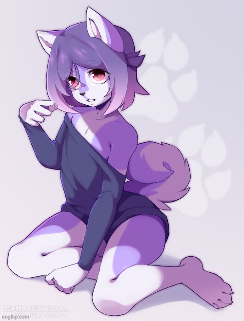 By CoffeeChicken | image tagged in furry,femboy,cute,adorable,sweater | made w/ Imgflip meme maker
