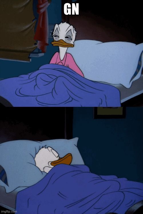 Goodbye | GN | image tagged in sleeping donald duck | made w/ Imgflip meme maker