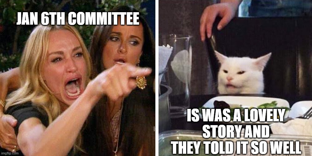 Shifty Schift | JAN 6TH COMMITTEE; IS WAS A LOVELY STORY AND THEY TOLD IT SO WELL | image tagged in smudge the cat | made w/ Imgflip meme maker