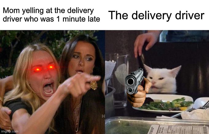 Woman Yelling At Cat | Mom yelling at the delivery driver who was 1 minute late; The delivery driver | image tagged in memes,woman yelling at cat | made w/ Imgflip meme maker