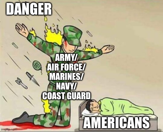 thank them for their service | DANGER; ARMY/ AIR FORCE/ MARINES/ NAVY/ COAST GUARD; AMERICANS | image tagged in soldier protecting sleeping child | made w/ Imgflip meme maker