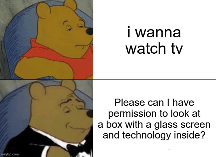 Tuxedo Winnie The Pooh | i wanna watch tv; Please can I have permission to look at a box with a glass screen and technology inside? | image tagged in memes,tuxedo winnie the pooh | made w/ Imgflip meme maker