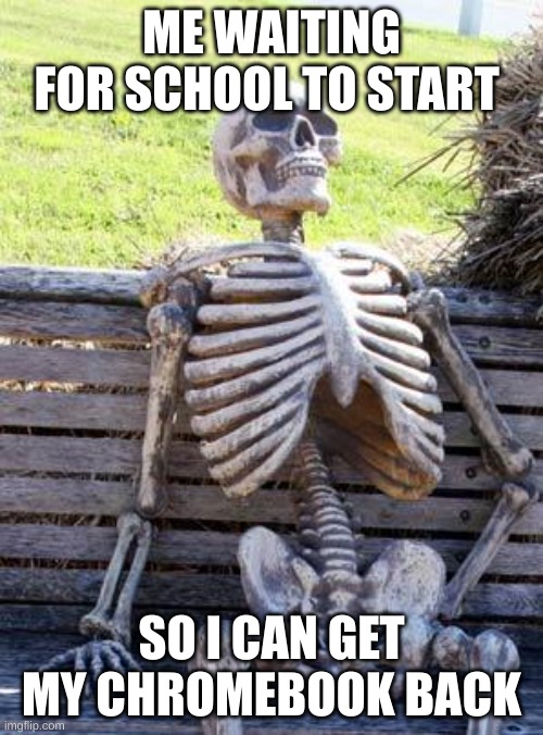 I got a while to wait | ME WAITING FOR SCHOOL TO START; SO I CAN GET MY CHROMEBOOK BACK | image tagged in memes,waiting skeleton | made w/ Imgflip meme maker
