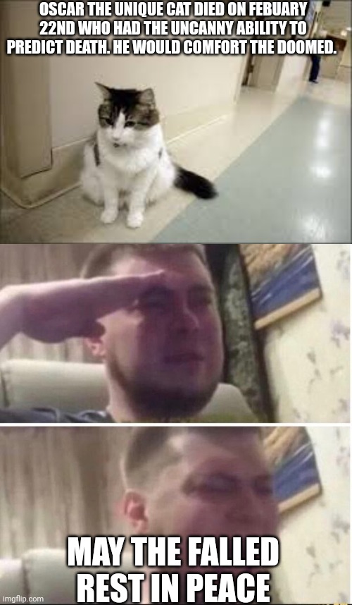 Im late but just saying | OSCAR THE UNIQUE CAT DIED ON FEBUARY 22ND WHO HAD THE UNCANNY ABILITY TO PREDICT DEATH. HE WOULD COMFORT THE DOOMED. MAY THE FALLED REST IN PEACE | image tagged in crying salute,cat,hero,gone | made w/ Imgflip meme maker