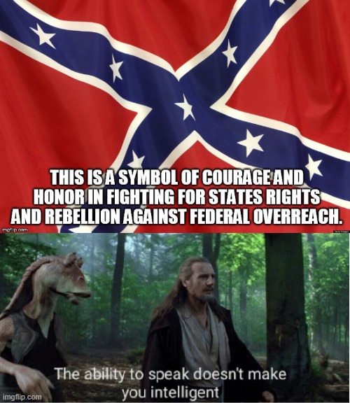 The Confederacy was formed for the preservation and expansion of slavery, not this "state's rights" bullshit | image tagged in star wars prequel qui-gon ability to speak | made w/ Imgflip meme maker