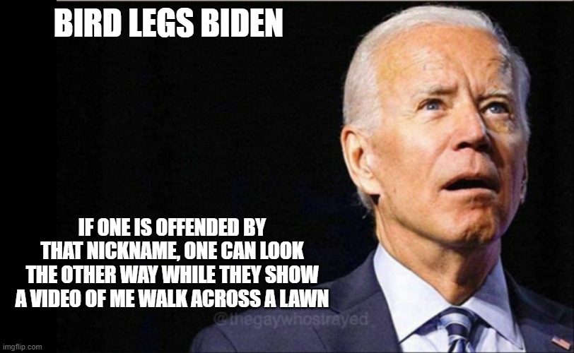 BIRDLEGS Biden | BIRD LEGS BIDEN; IF ONE IS OFFENDED BY THAT NICKNAME, ONE CAN LOOK THE OTHER WAY WHILE THEY SHOW A VIDEO OF ME WALK ACROSS A LAWN | image tagged in joe biden,president trump,crazy aoc,nancy pelosi,dianne feinstein,bill clinton | made w/ Imgflip meme maker