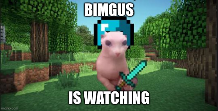 Minecraft bingus | BIMGUS; IS WATCHING | image tagged in minecraft bingus | made w/ Imgflip meme maker