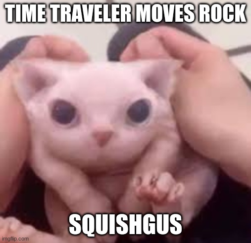 Scrunched Bingus | TIME TRAVELER MOVES ROCK; SQUISHGUS | image tagged in scrunched bingus | made w/ Imgflip meme maker