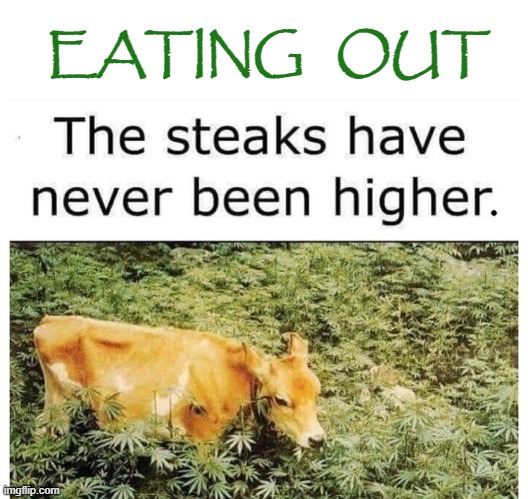 Medium Rare |  EATING   OUT | image tagged in mistakes make you stronger | made w/ Imgflip meme maker