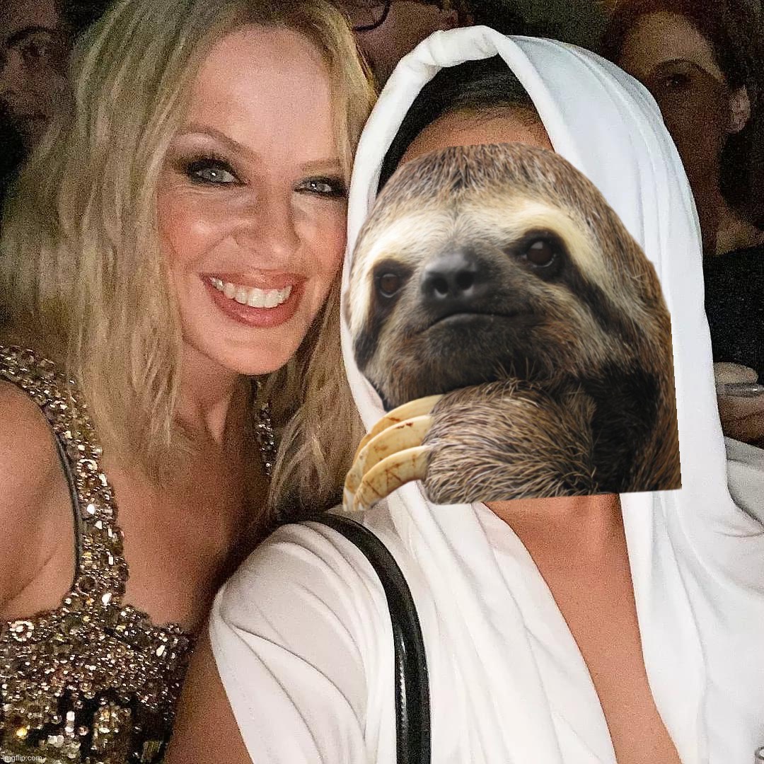 High Quality Sloth Kylie selfie Blank Meme Template