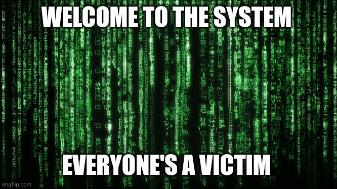 Welcome to the System | WELCOME TO THE SYSTEM; EVERYONE'S A VICTIM | image tagged in matrix code,truth | made w/ Imgflip meme maker