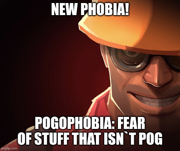 Crap mem right here | NEW PHOBIA! POGOPHOBIA: FEAR OF STUFF THAT ISN`T POG | image tagged in engineer custom phobia | made w/ Imgflip meme maker