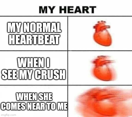 My heart blank | MY NORMAL HEARTBEAT; WHEN I SEE MY CRUSH; WHEN SHE COMES NEAR TO ME | image tagged in my heart blank | made w/ Imgflip meme maker