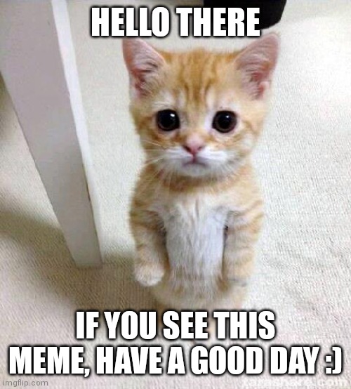 Hello |  HELLO THERE; IF YOU SEE THIS MEME, HAVE A GOOD DAY :) | image tagged in memes,cute cat | made w/ Imgflip meme maker