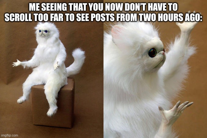 What happened? Is the stream finally dying? | ME SEEING THAT YOU NOW DON’T HAVE TO SCROLL TOO FAR TO SEE POSTS FROM TWO HOURS AGO: | image tagged in memes,persian cat room guardian | made w/ Imgflip meme maker