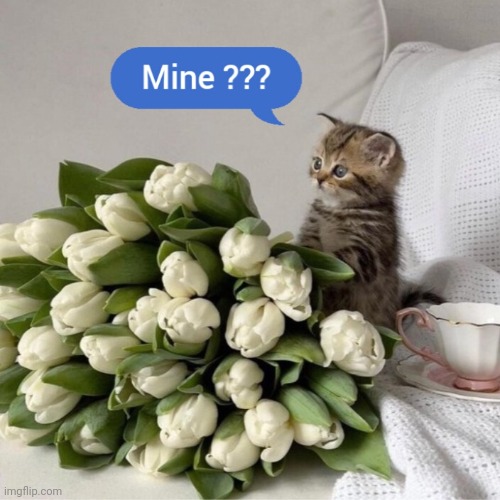 Happy month | image tagged in happy birthday,flowers,cute cat | made w/ Imgflip meme maker