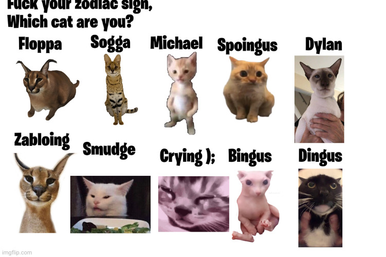 let's get this on the front page /j | image tagged in cats | made w/ Imgflip meme maker