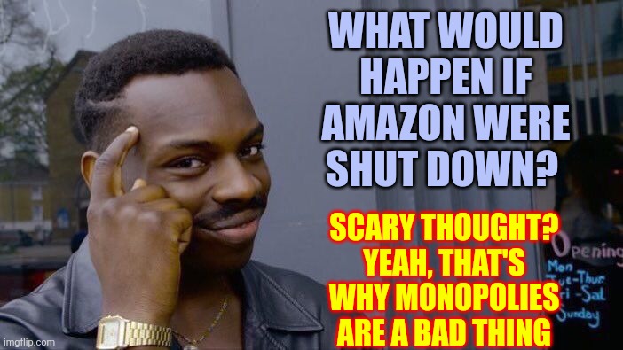 Monopoly | WHAT WOULD HAPPEN IF AMAZON WERE SHUT DOWN? SCARY THOUGHT?
YEAH, THAT'S WHY MONOPOLIES ARE A BAD THING | image tagged in memes,roll safe think about it,monopoly,amazon,the future is now old man,we lost already | made w/ Imgflip meme maker