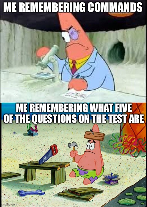 Is big brain time | ME REMEMBERING COMMANDS; ME REMEMBERING WHAT FIVE OF THE QUESTIONS ON THE TEST ARE | image tagged in patrick smart dumb,minecraft,test | made w/ Imgflip meme maker