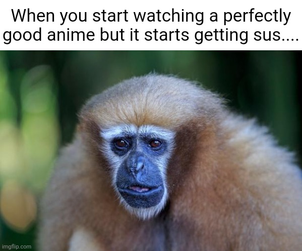 Unsettled monkey |  When you start watching a perfectly good anime but it starts getting sus.... | image tagged in unsettled monkey | made w/ Imgflip meme maker