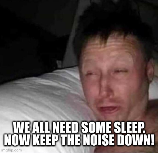 Sleepy guy | WE ALL NEED SOME SLEEP.
NOW KEEP THE NOISE DOWN! | image tagged in sleepy guy | made w/ Imgflip meme maker