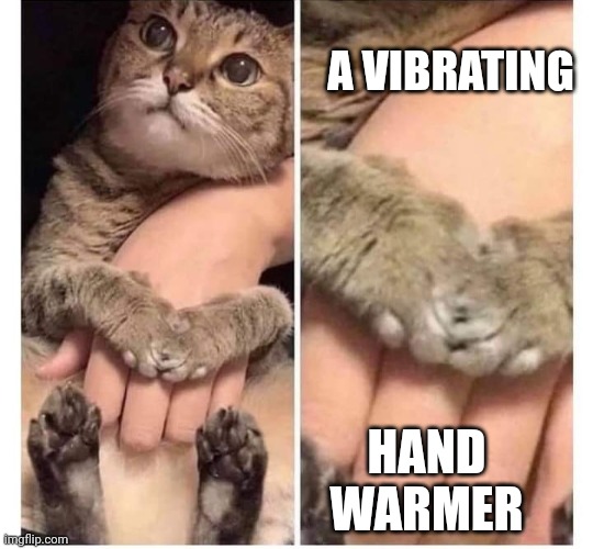 Snuggle mittens | A VIBRATING; HAND WARMER | image tagged in cat,snuggle | made w/ Imgflip meme maker