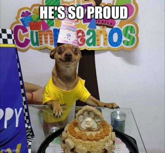 Happy birthday! | HE'S SO PROUD | image tagged in dog,happy birthday | made w/ Imgflip meme maker